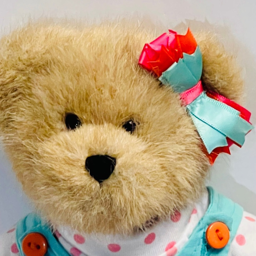 Sprinkles Frostin Boyds Birthday Bear